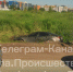 На Веневском шоссе легковушка улетела в кювет - ГТРК