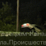 Серебристый Mercedes улетел в кювет в Щекино Тульской области - ИА Тульская служба новостей