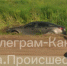 На Веневском шоссе произошло ДТП с большегрузом - Молодой коммунар
