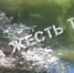 Местные жители сообщают о массовой гибели рыб на Щекинском водохранилище - Молодой коммунар