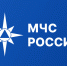 По инициативе МЧС России в стране начался эксперимент по маркировке в системе «Честный знак» - МЧС