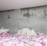 _ZYB6409.JPG - Myslo.Ru