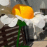 wr34wrew.png - Myslo.Ru