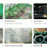 wt4534w5.png - Myslo.Ru