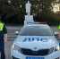 Тульские инспекторы ДПС помогли оперативно доставить беременную в роддом - Молодой коммунар
