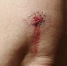 c66fb890-d546-4441-977e-c83de95f30f9.jpg - Myslo.Ru