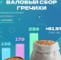 Стало известно, сколько гречихи собрали в Тульской области в 2023 году - ТК Первый Тульский