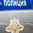 Житель Тульской области разбил стекло магазина и украл алкоголь с сигаретами - ТК Первый Тульский