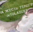 Под Тулой рыбаки поймали двухметрового сома. Видео - ИА Тульская пресса.Ru