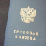Туляки назвали самый подходящий для начала работы возраст - ТК Первый Тульский