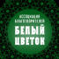 Благотворительный праздник «Белый цветок» - Тульская епархия