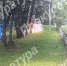 Троих детей, пострадавших при взрыве в детском лагере в Туле, выписали домой - Молодой коммунар