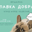 wtAtI23_5KQ - Управление культуры и туризма