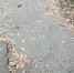 whK245KSz48.jpg - Myslo.Ru