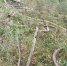 Screenshot_14.jpg - Myslo.Ru