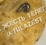 Школьники нашли железный крючок в котлете: тульский ЦО ждет проверка - ИА Тульская пресса.Ru