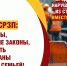 За нарушение закона – выдворять из страны весь клан! - Справедливая Россия