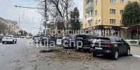 В Туле случился «деревопад» - ГТРК