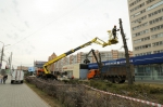В центре Тулы срубят ели. Что посадят вместо них?