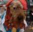 DSC07324.JPG - Myslo.Ru