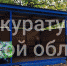 В щёкинском детсаду после прокурорской проверки появился навес - ГТРК