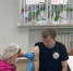 В Туле вакцинировались больше 100 артистов и персонала циркового шоу Гии Эрадзе - ИА Тульская служба новостей