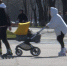 Туляков на День отцов приглашают в Центральный парк - ГТРК