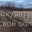СК: женщину в Кимовске заживо загрызла свора собак - Myslo.Ru