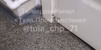 Туляки заметили в медцентре для детей тараканов. Видео - ИА Тульская пресса.Ru