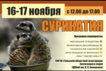 Screenshot_2024-11-13-10-10-11-567_com.vkontakte.android-edit.jpg