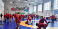 День самбо отметили в Туле - ГТРК