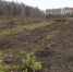 _ZYB8765.JPG - Myslo.Ru