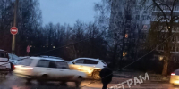 Упавшее на улице Маршала Жукова в Туле дерево оборвало линию электропередачи - ИА Тульская служба новостей