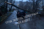 В Туле штормовой ветер повалил несколько деревьев