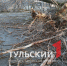 Сколько деревьев не выдержали штормовой ветер в Туле - ТК Первый Тульский