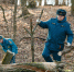 После вчерашней бури в Ясной Поляне борются с последствиями непогоды - МЧС