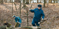После вчерашней бури в Ясной Поляне борются с последствиями непогоды - МЧС