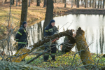 В Ясной Поляне устраняют последствия непогоды