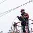 Энергетики «Тулэнерго» устранили нарушения электроснабжения в основной сети 6-10 кВ - Молодой коммунар