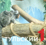 Туляки могут выбрать имена для новых питомцев экзотариума - ТК Первый Тульский