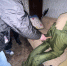 В Новомосковске следователи устанавливают обстоятельства смерти местного жителя - Следственный комитет