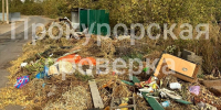Прокуратура выявила несанкционированную свалку в Тепло-Огаревском районе - ИА Тульская служба новостей