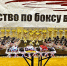 В Венёве проходит представительный боксёрский турнир - ГТРК
