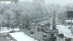 Тульская Госавтоинспекция предупредила водителей о гололедице на дорогах