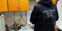 Убийство в Киреевске: 25-летнюю задержанную, зарезавшую родную мать, поместят в психбольницу - Myslo.Ru