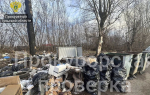 Прокуратура потребовала убрать свалку ТКО вблизи жилого дома в Узловой