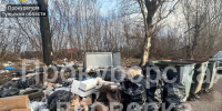 В Узловой ликвидировали несанкционированную свалку после вмешательства прокуратуры - Комсомольская Правда