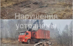 В Кимовском районе после вмешательства прокуратуры ликвидировали несанкционированную свалку
