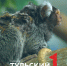 Подписчики "Первого Тульского" придумали клички для новорожденных игрунок - ТК Первый Тульский