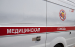 Бессараб объяснила идею ограничить порядок выдачи больничных